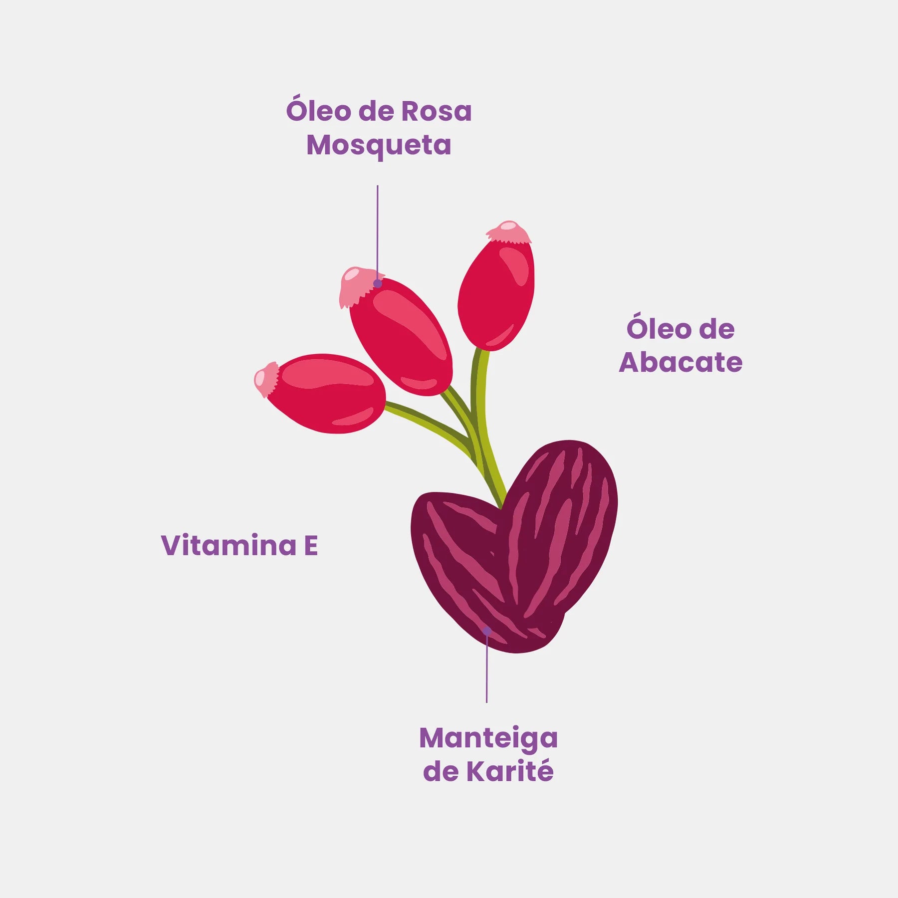 Beleza Brasileira Barriguinha Cream Antiestrias-200g