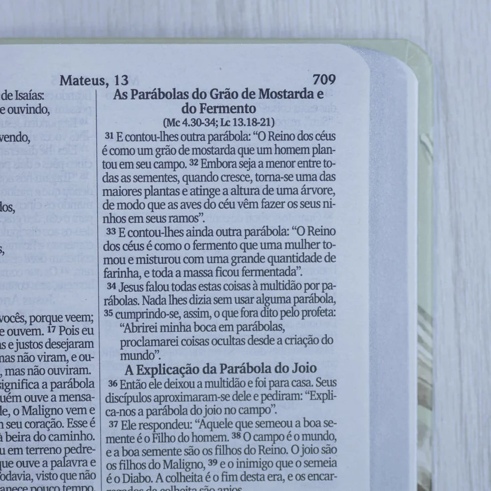 Bíblia Sagrada Lírios-Versão NVI