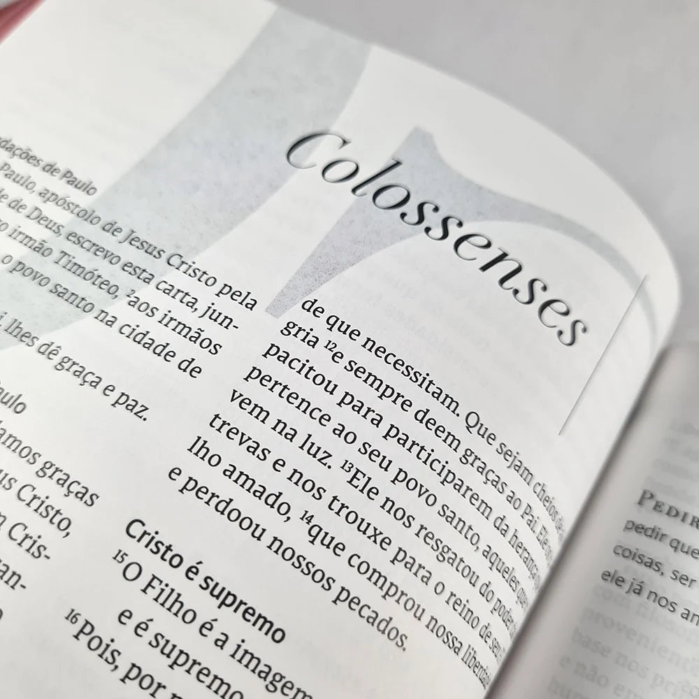Bíblia C.S Lewis Capa Dura Vermelha e Dourado-Versão NVT