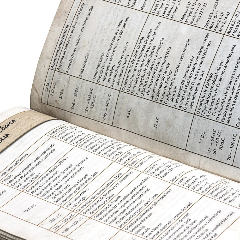 Bíblia Das Descobertas Para Adolescentes Letra Normal-Versão NTLH