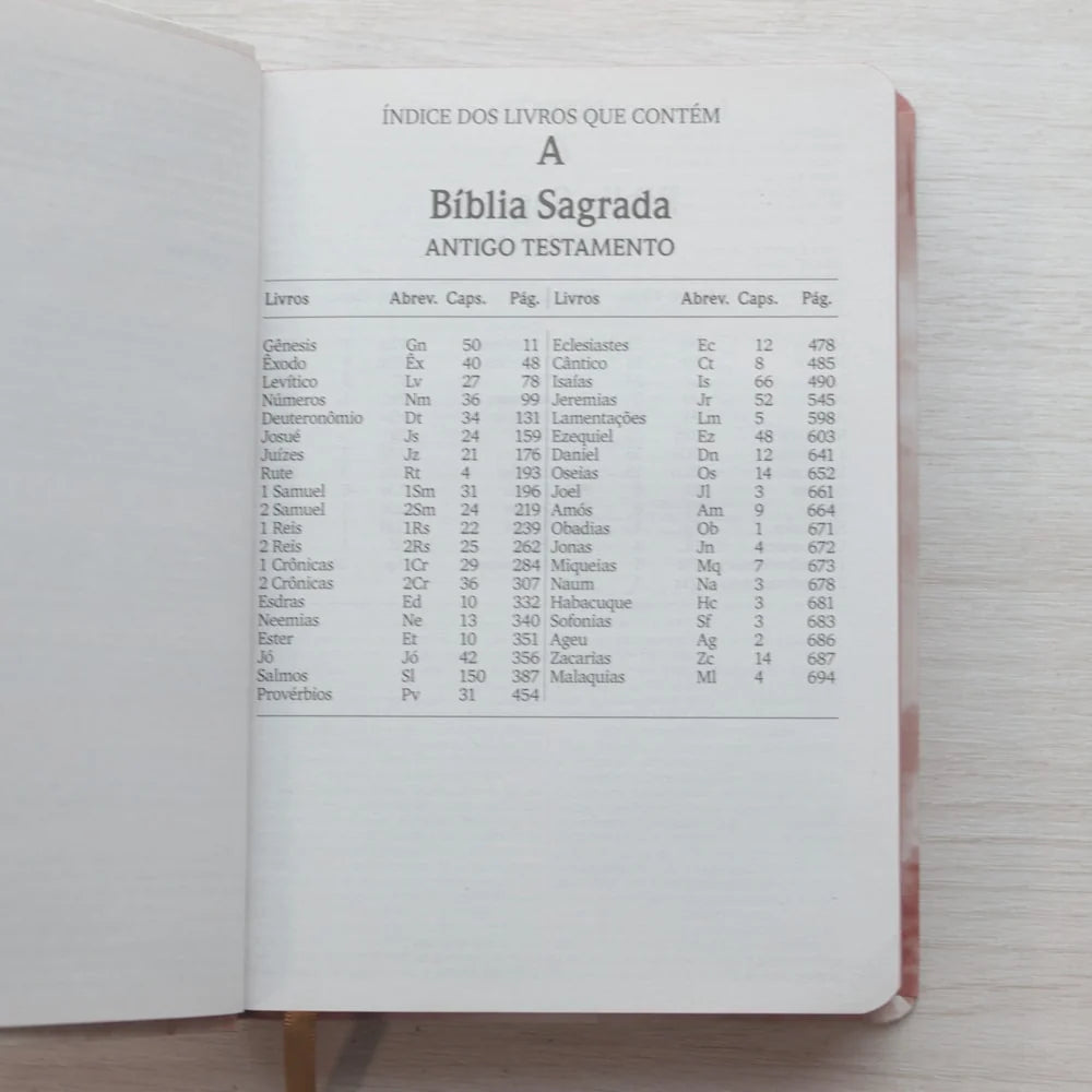 Bíblia Sagrada Leão de Judá Letra Maior-Versão NVI