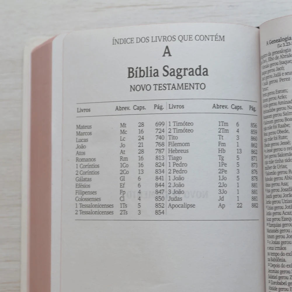 Bíblia Sagrada Leão de Judá Letra Maior-Versão NVI
