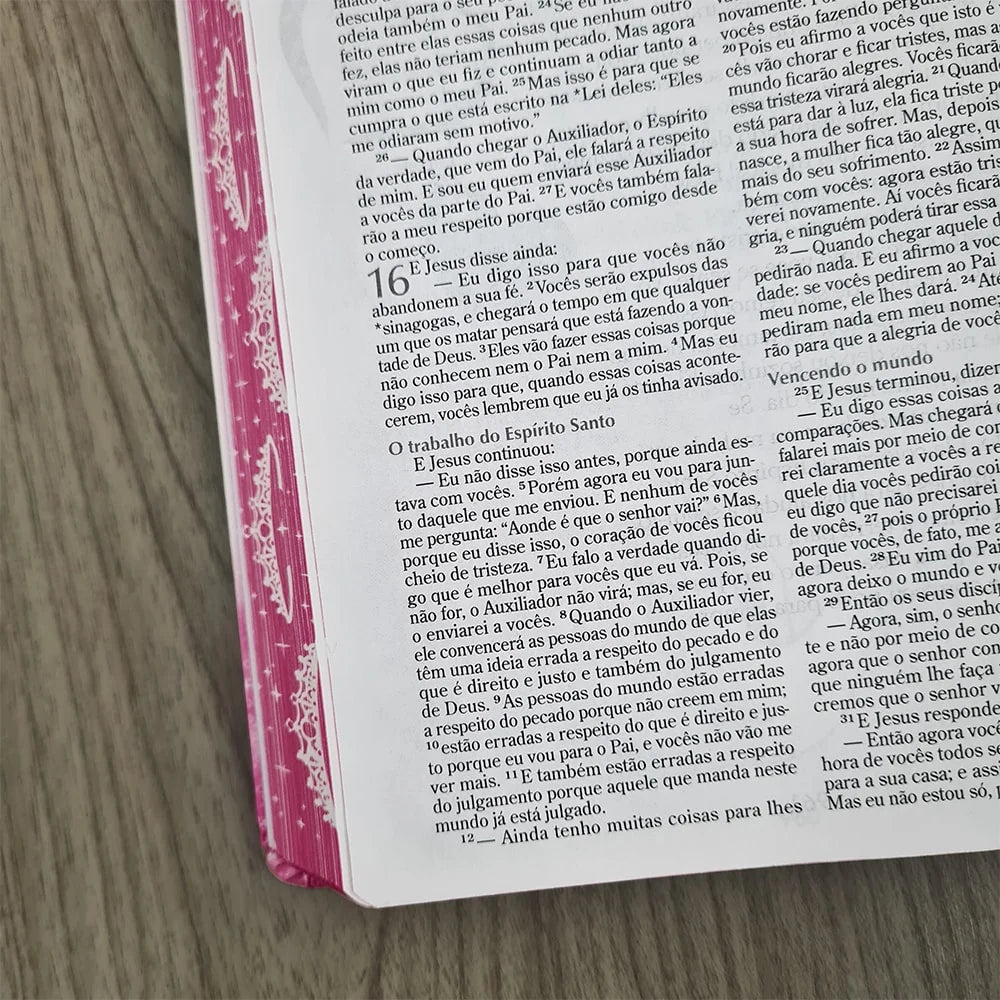 Biblia Sagrada da Princesinha Sheila Walsh-Versão NTLH
