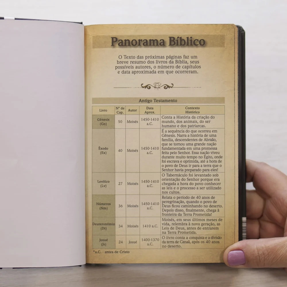 Bíblia Sagrada Jesus Cristo Letra Grande-Versão NVT