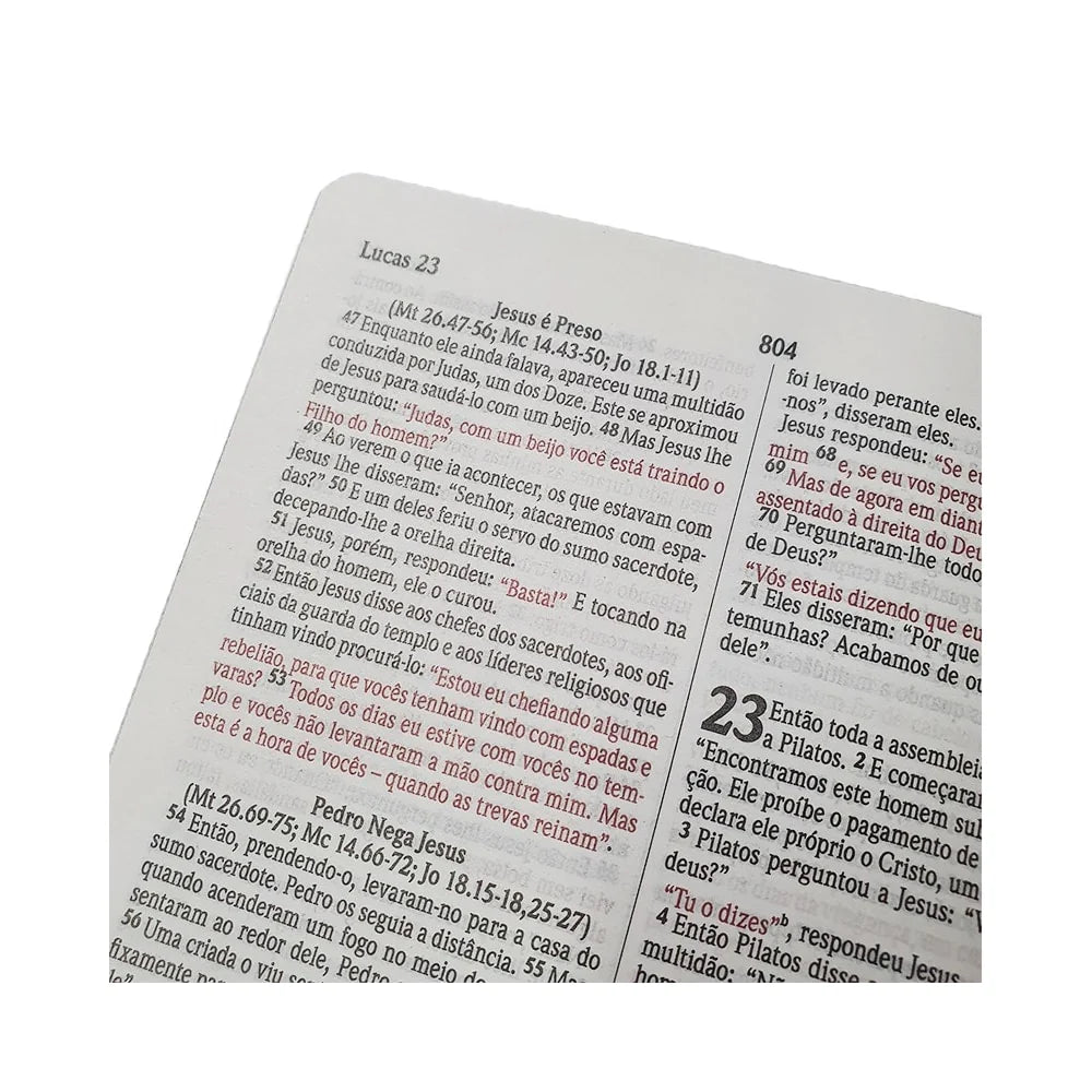 Bíblia Sagrada Jesus Leão de Judá Letra Normal-Versão NVI