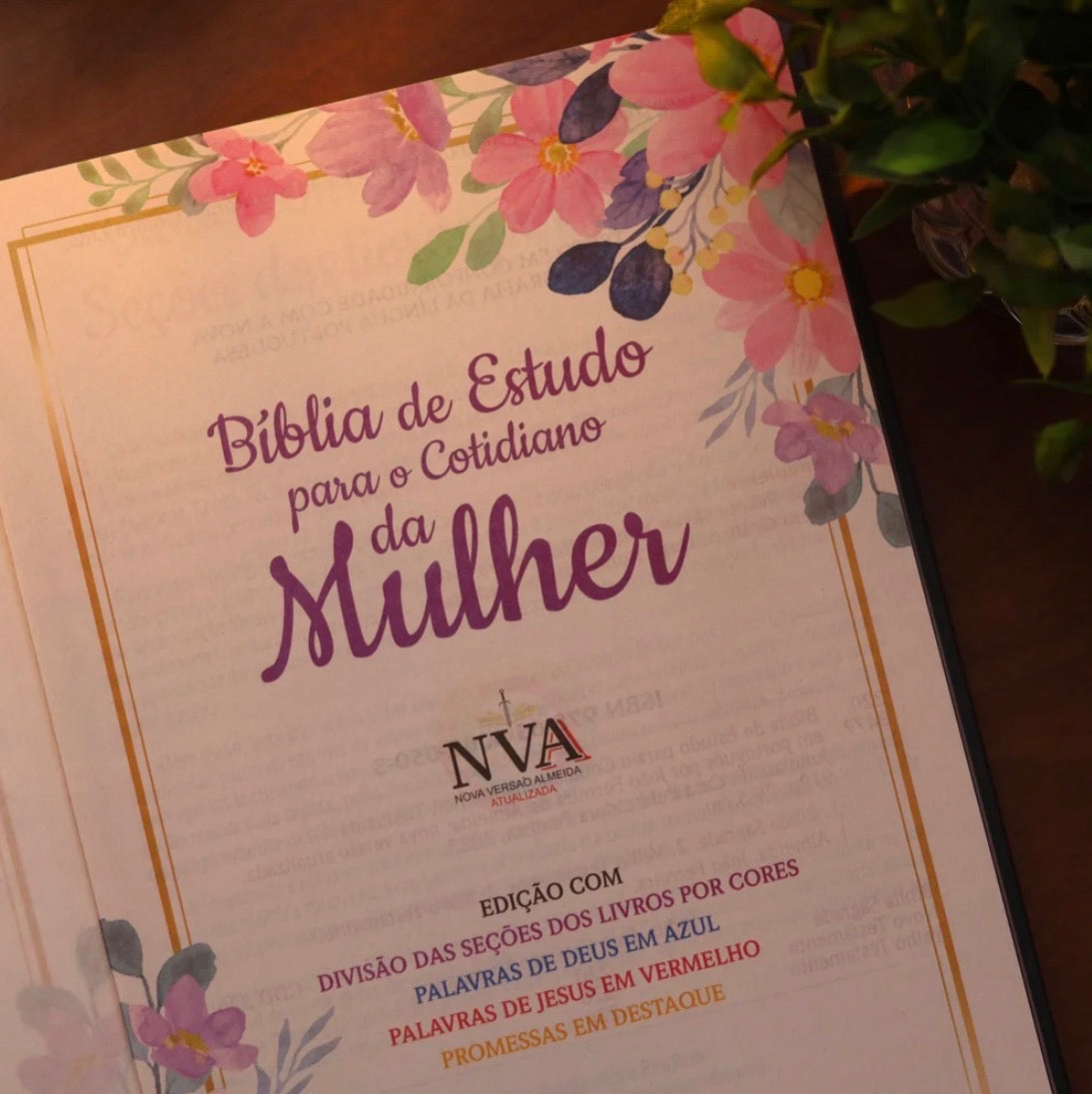 Bíblia De Estudo Para O Cotidiano Da Mulher-Versão NVA
