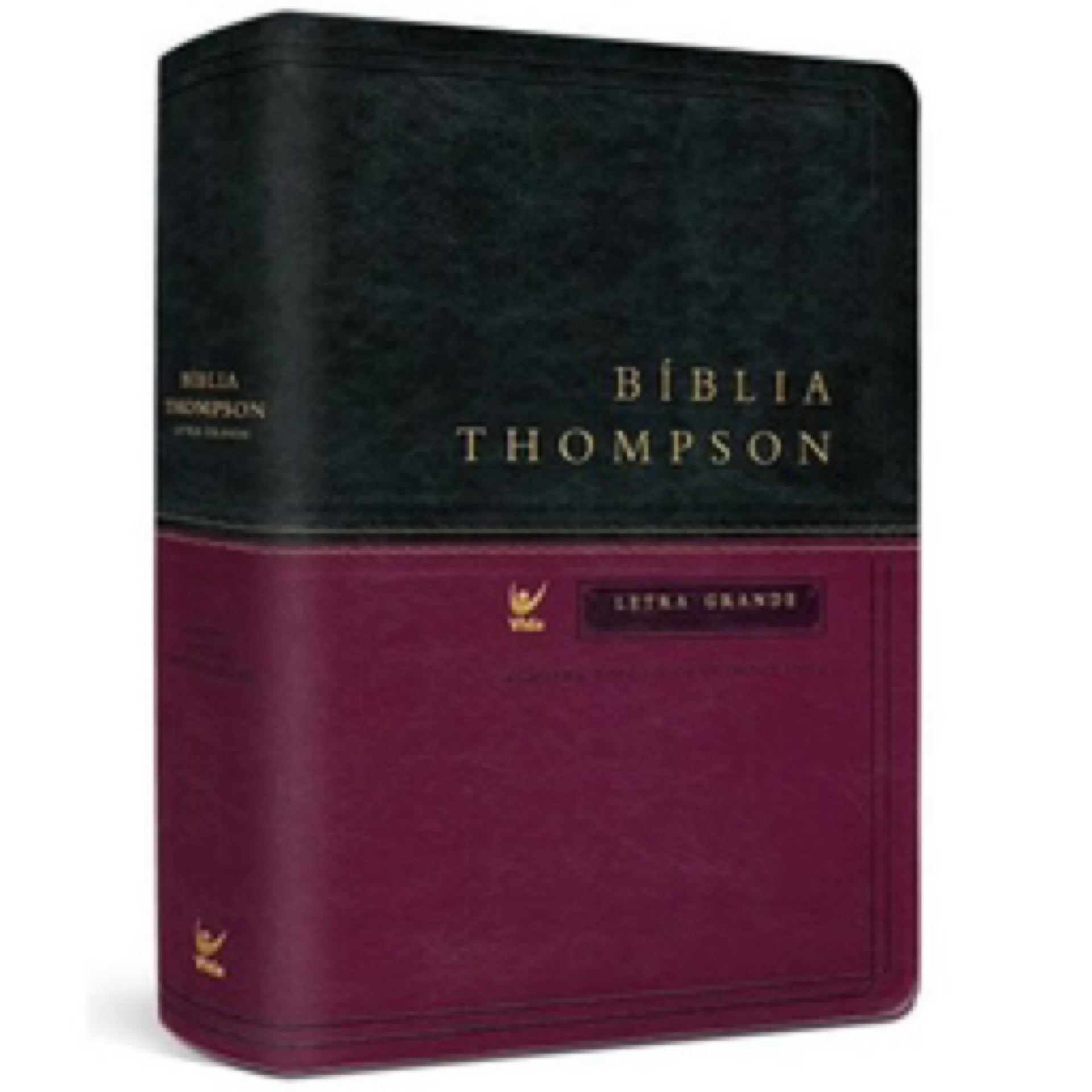 Bíblia Thompson Letra Grande Almeida EC