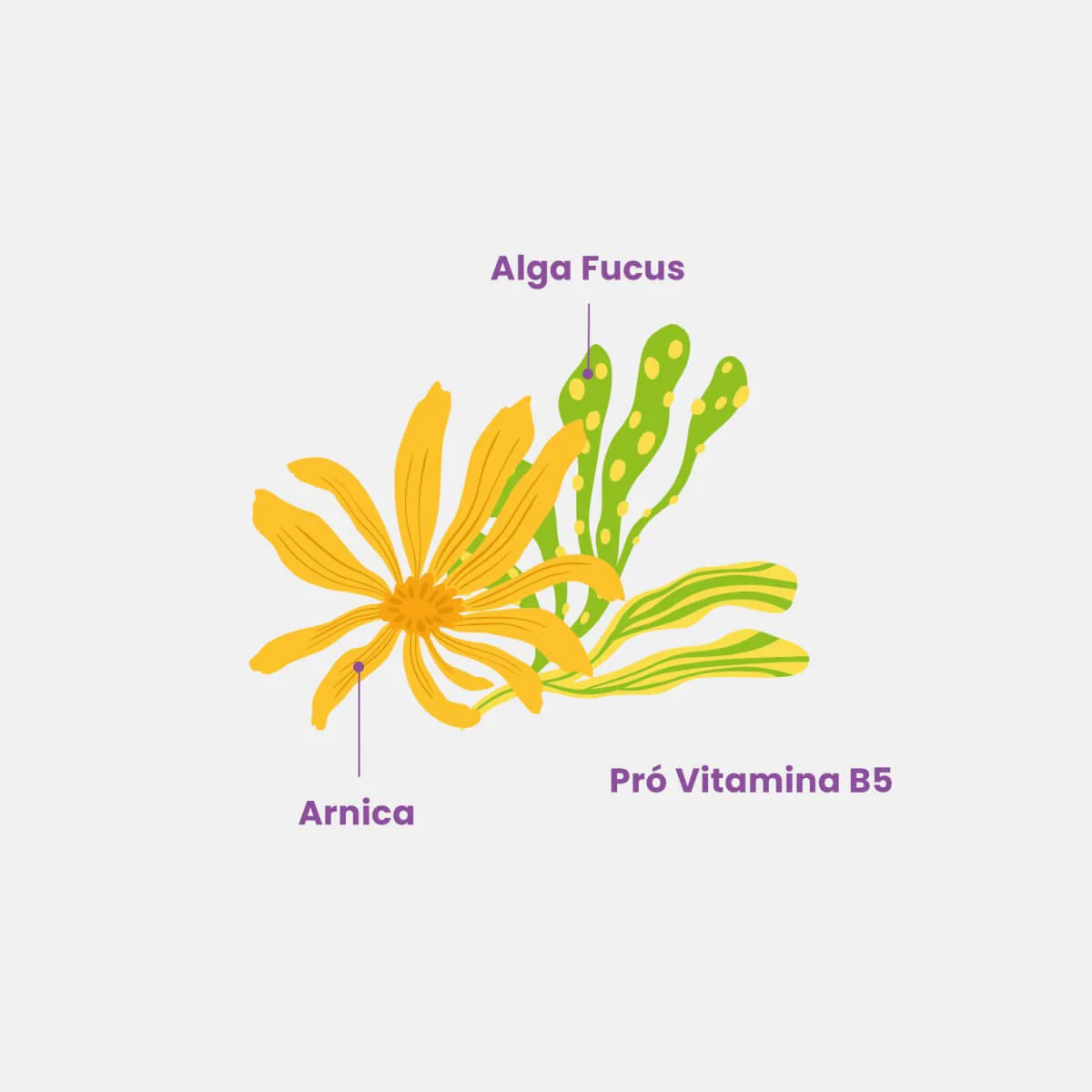Beleza Brasileira Esfrega Esfoliante-200g