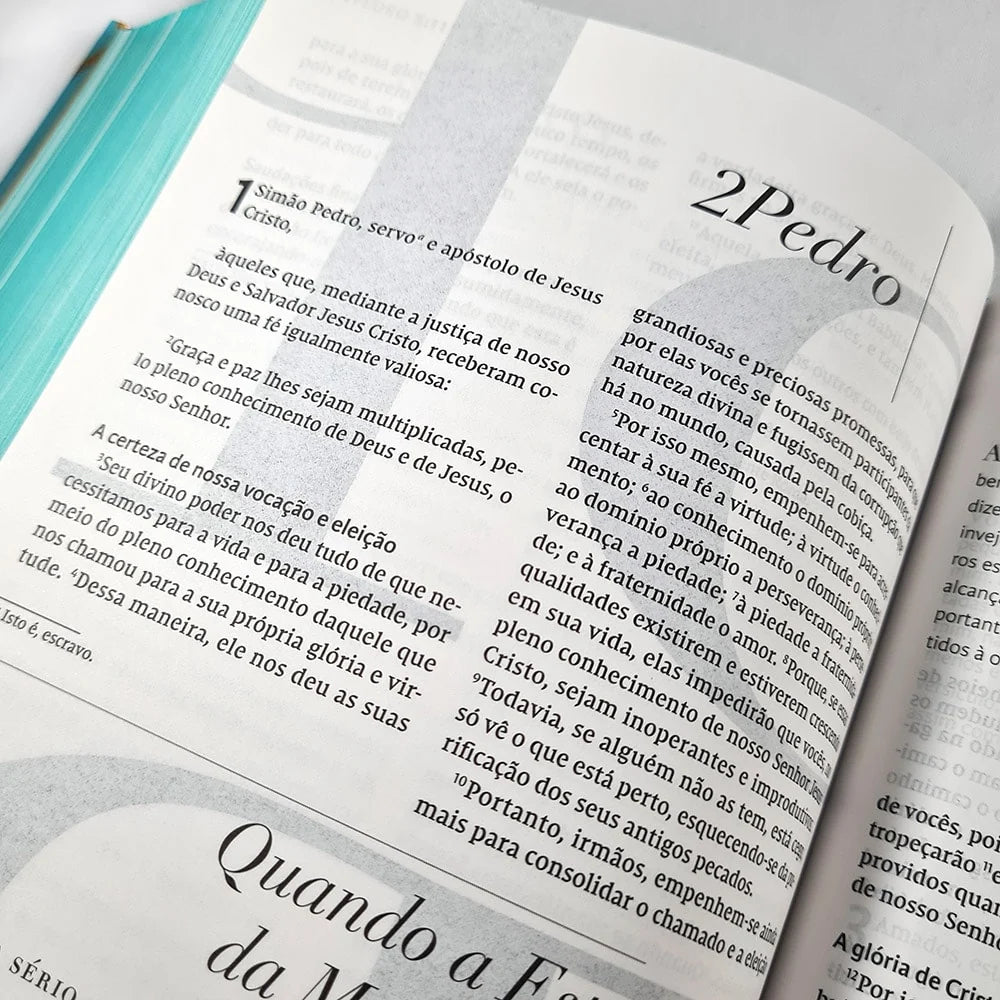 Bíblia C.S Lewis Capa Dura Azul e Dourado-Versão NVT