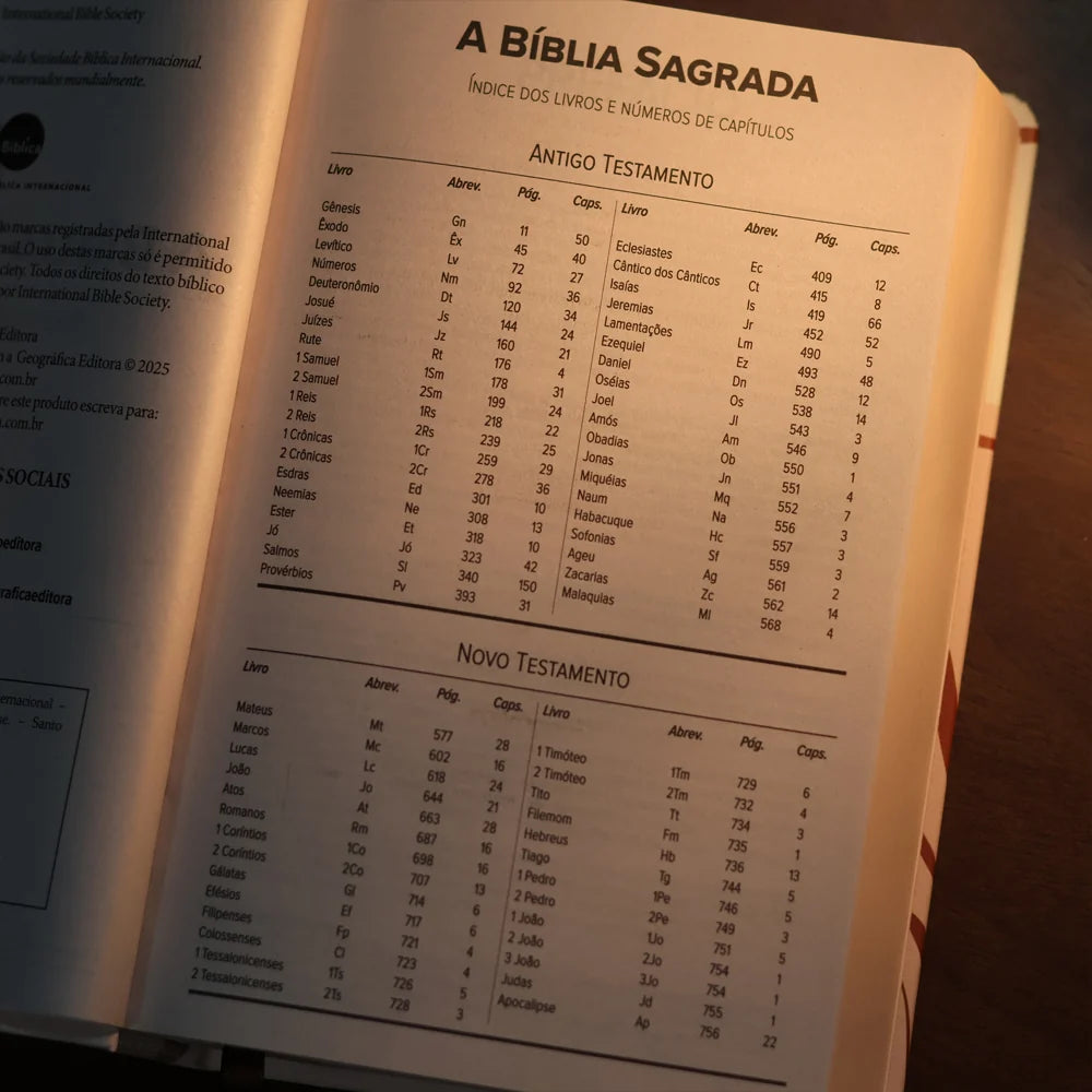 Bíblia Sagrada Cristo Vive Em Mim Letra Maior-Versão NVI