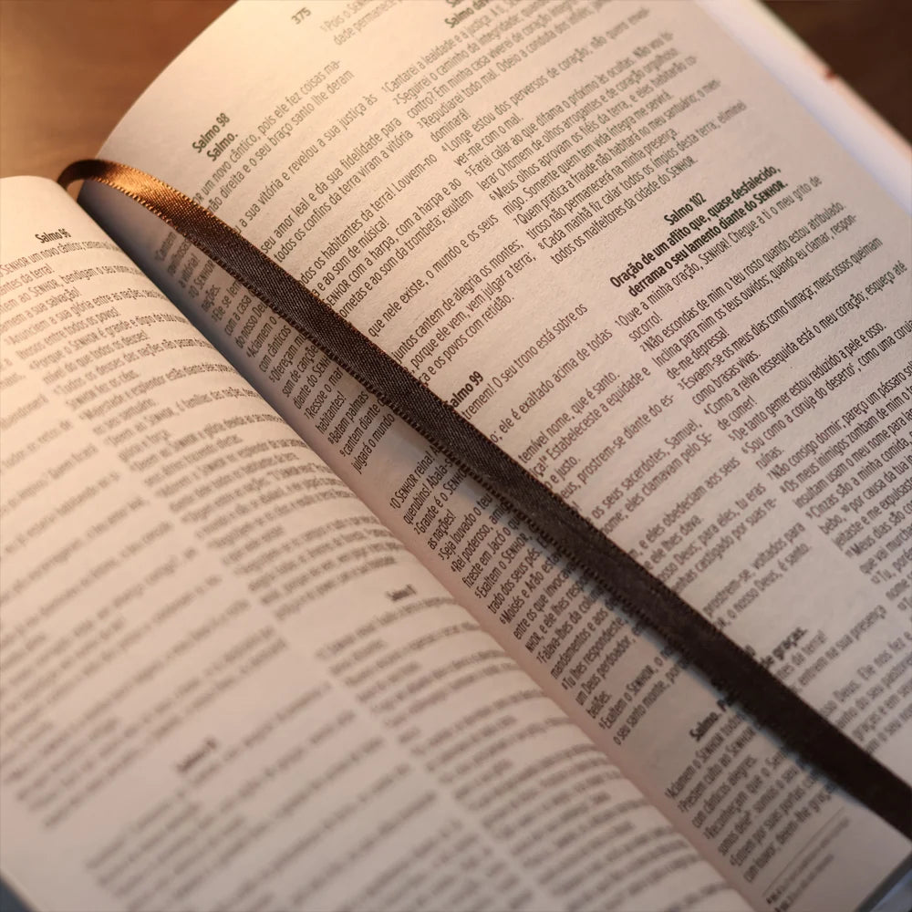 Bíblia Sagrada Cristo Vive Em Mim Letra Maior-Versão NVI