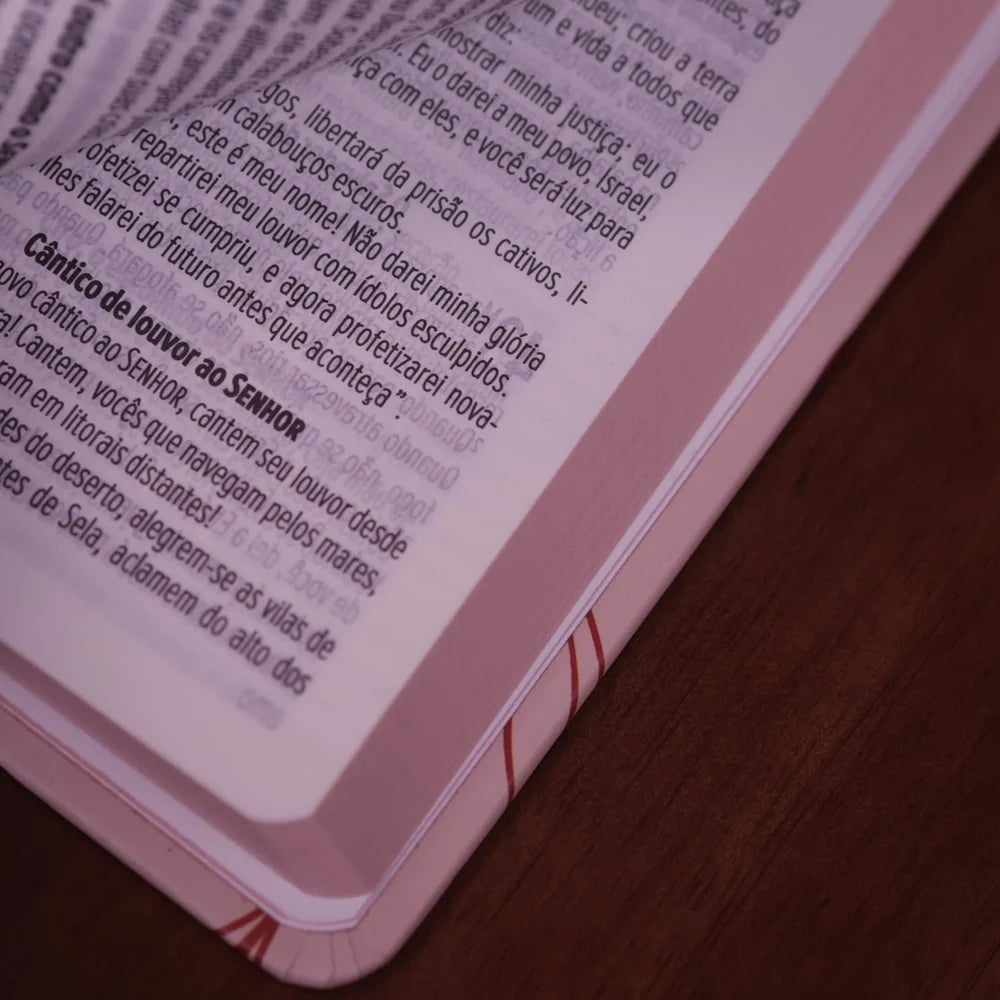 Bíblia Sagrada Tudo Crê Tudo Espera Tudo Suporta Letra Grande-Versão NVT