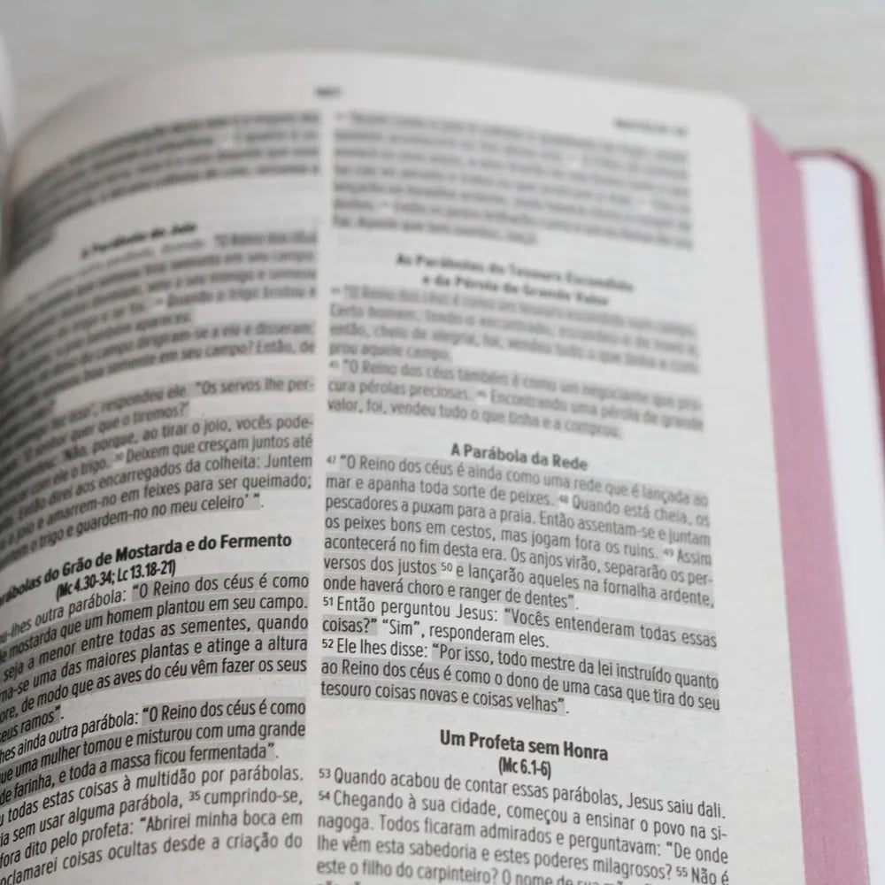 Bíblia Sagrada Feminina Letra Normal Capa Dura-Versão NVI