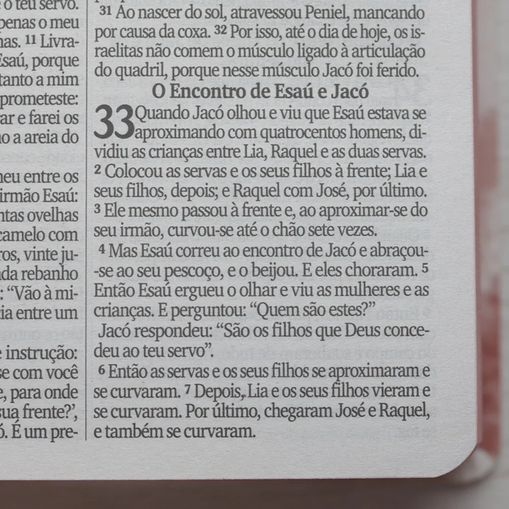 Bíblia Sagrada Leão de Judá Letra Maior-Versão NVI
