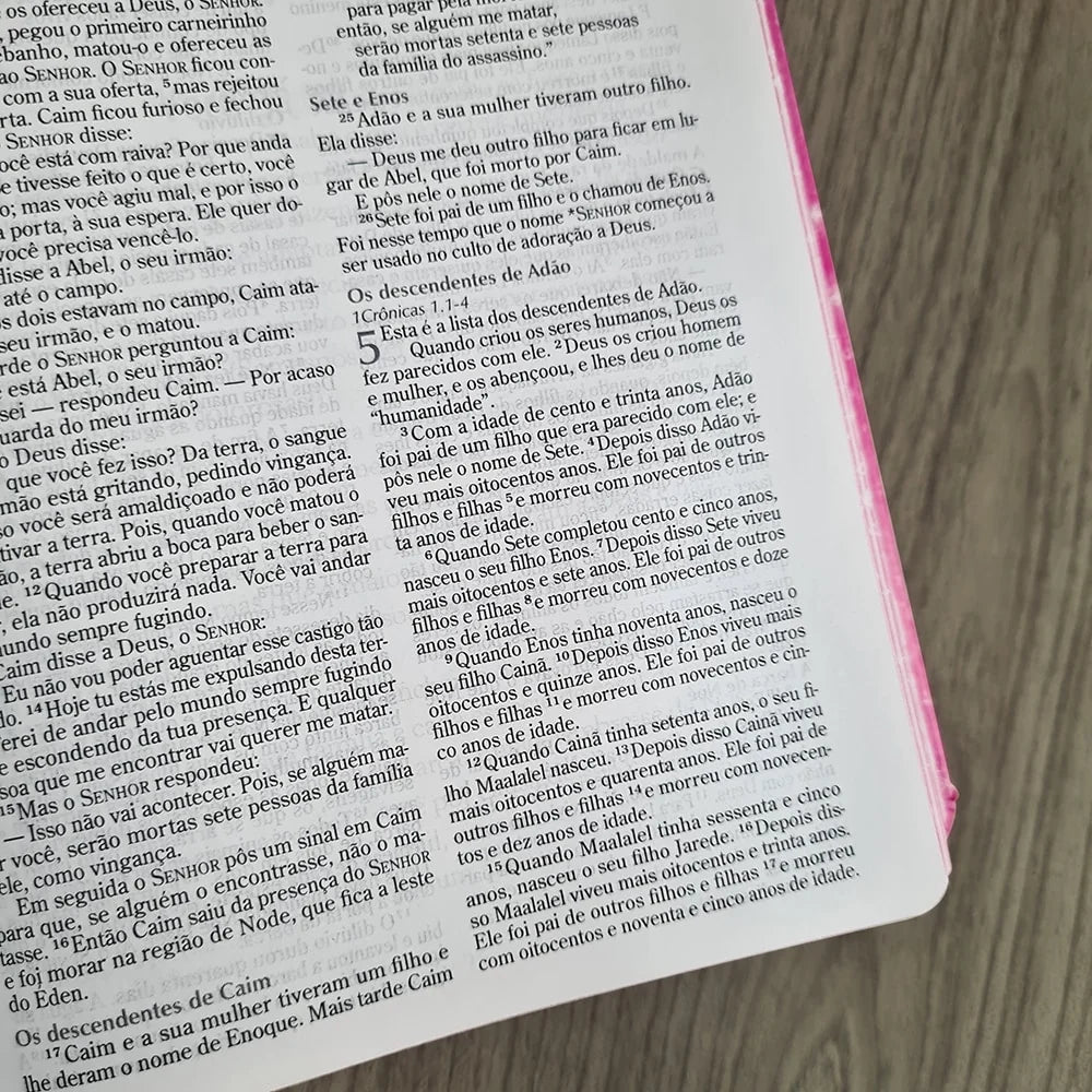 Biblia Sagrada da Princesinha Sheila Walsh-Versão NTLH