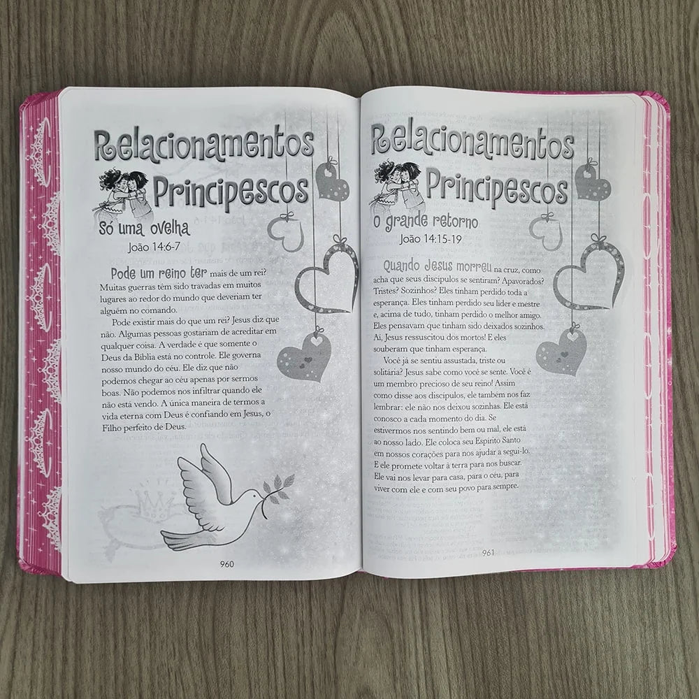 Biblia Sagrada da Princesinha Sheila Walsh-Versão NTLH