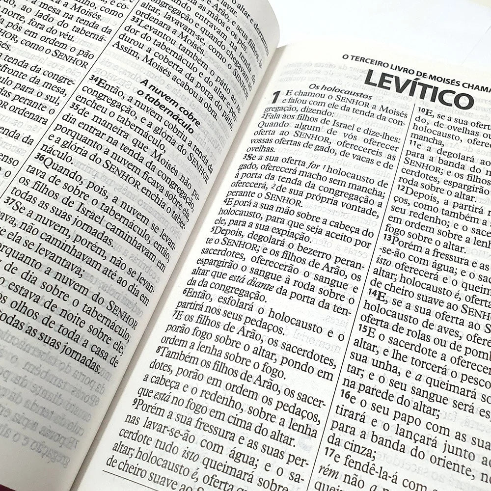 Bíblia da Mulher Vitoriosa Letra Gigante-Versão ARC
