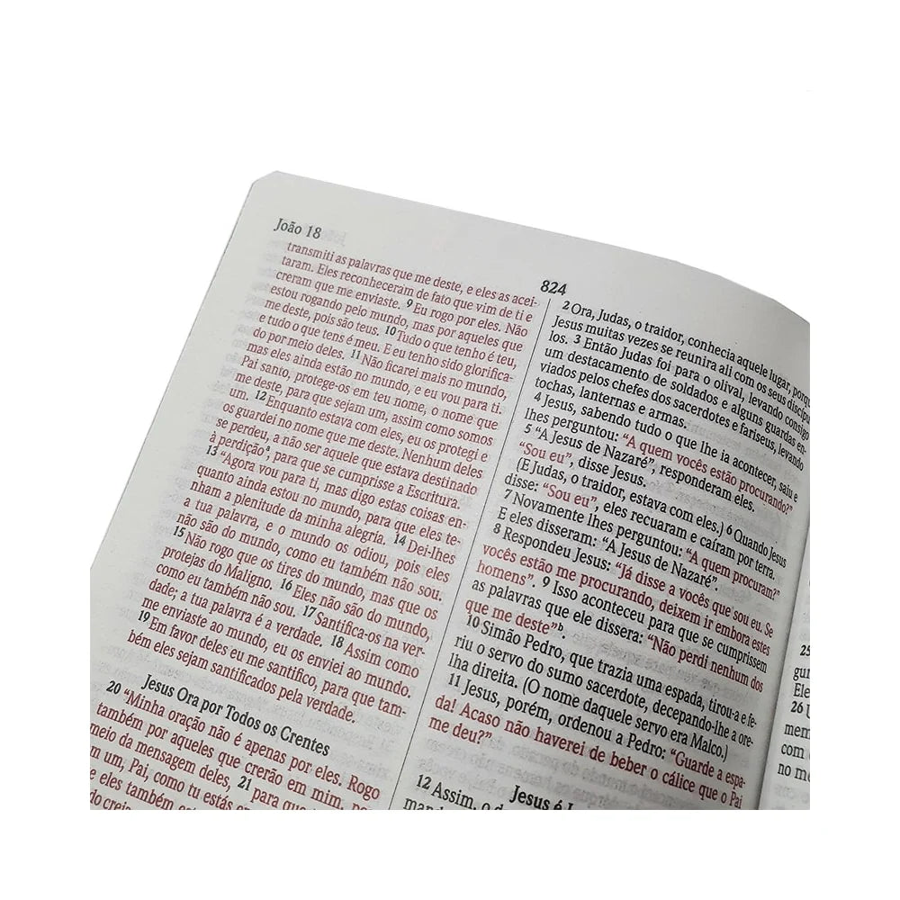 Bíblia Sagrada Jesus Leão de Judá Letra Normal-Versão NVI