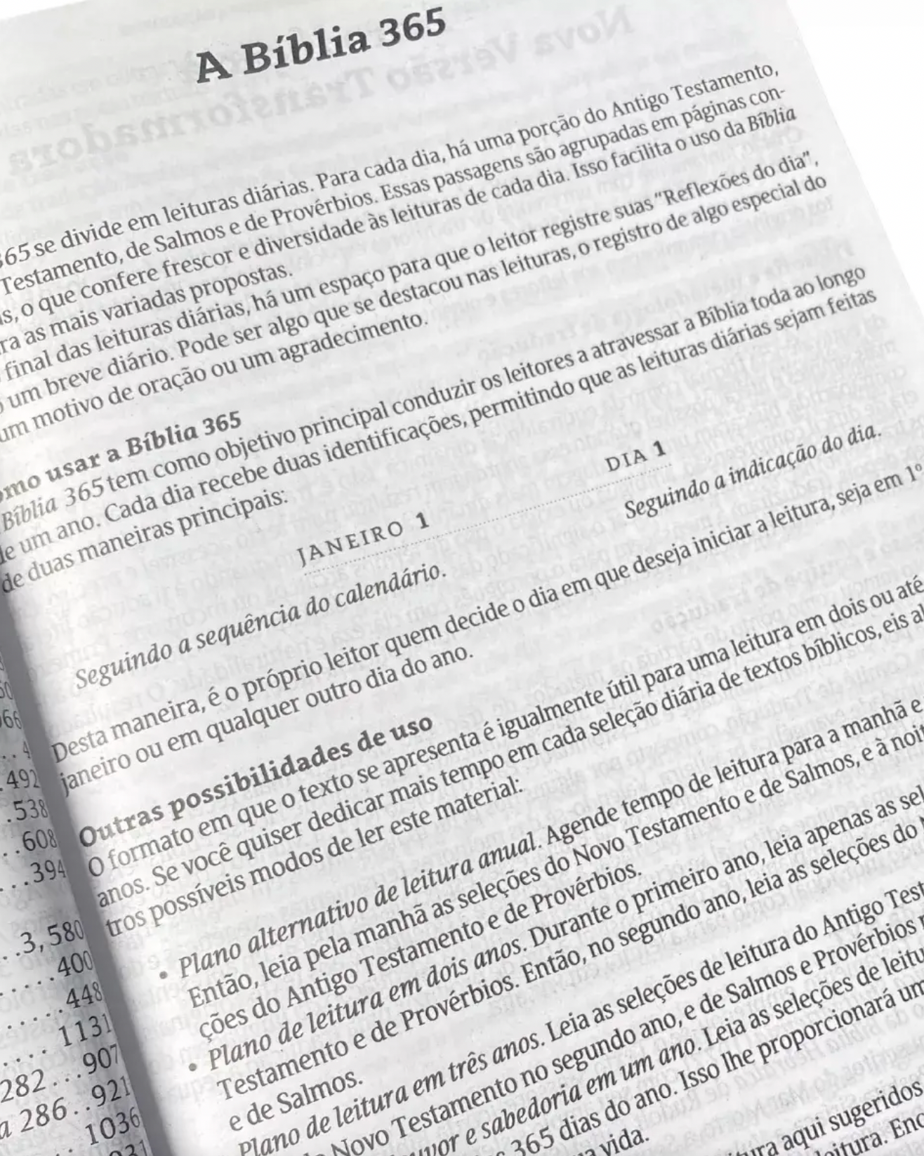 Bíblia 365 Para Corajosas Letra Grande-Versão NVT