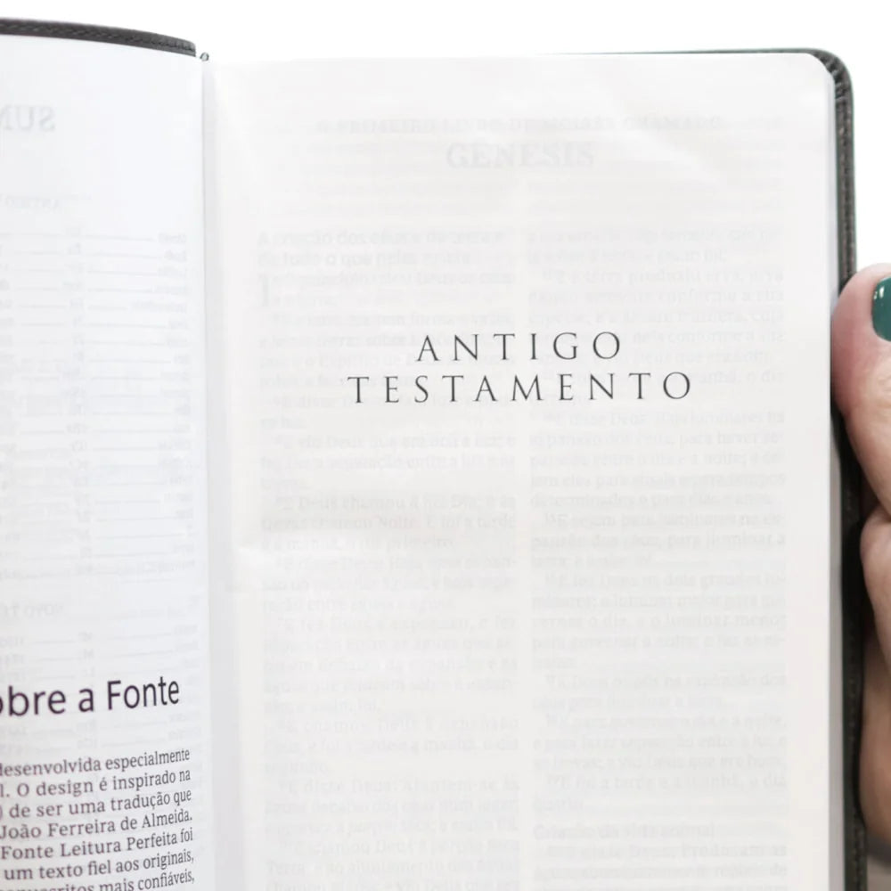 Bíblia Sagrada Leitura Perfeita Cinza Letra Grande-Versão ACF