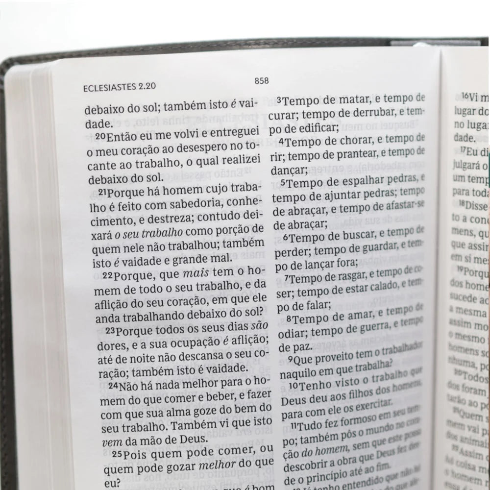 Bíblia Sagrada Leitura Perfeita Cinza Letra Grande-Versão ACF