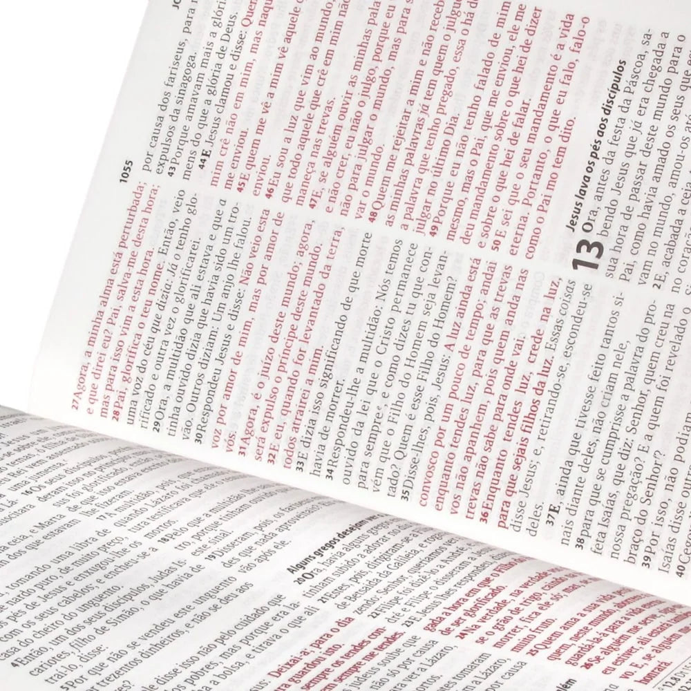 Bíblia do Obreiro Ovelha Letra Grande-Versão ARC