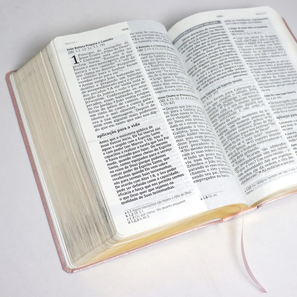 Bíblia De Estudo Joyce Meyer-Versão NVI