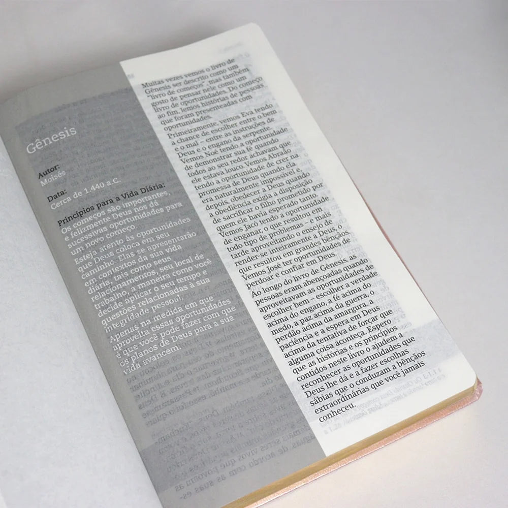 Bíblia De Estudo Joyce Meyer-Versão NVI
