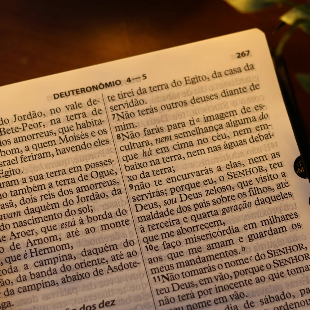 Bíblia Sagrada Letra Extra Gigante Com Índice-Versão ARC