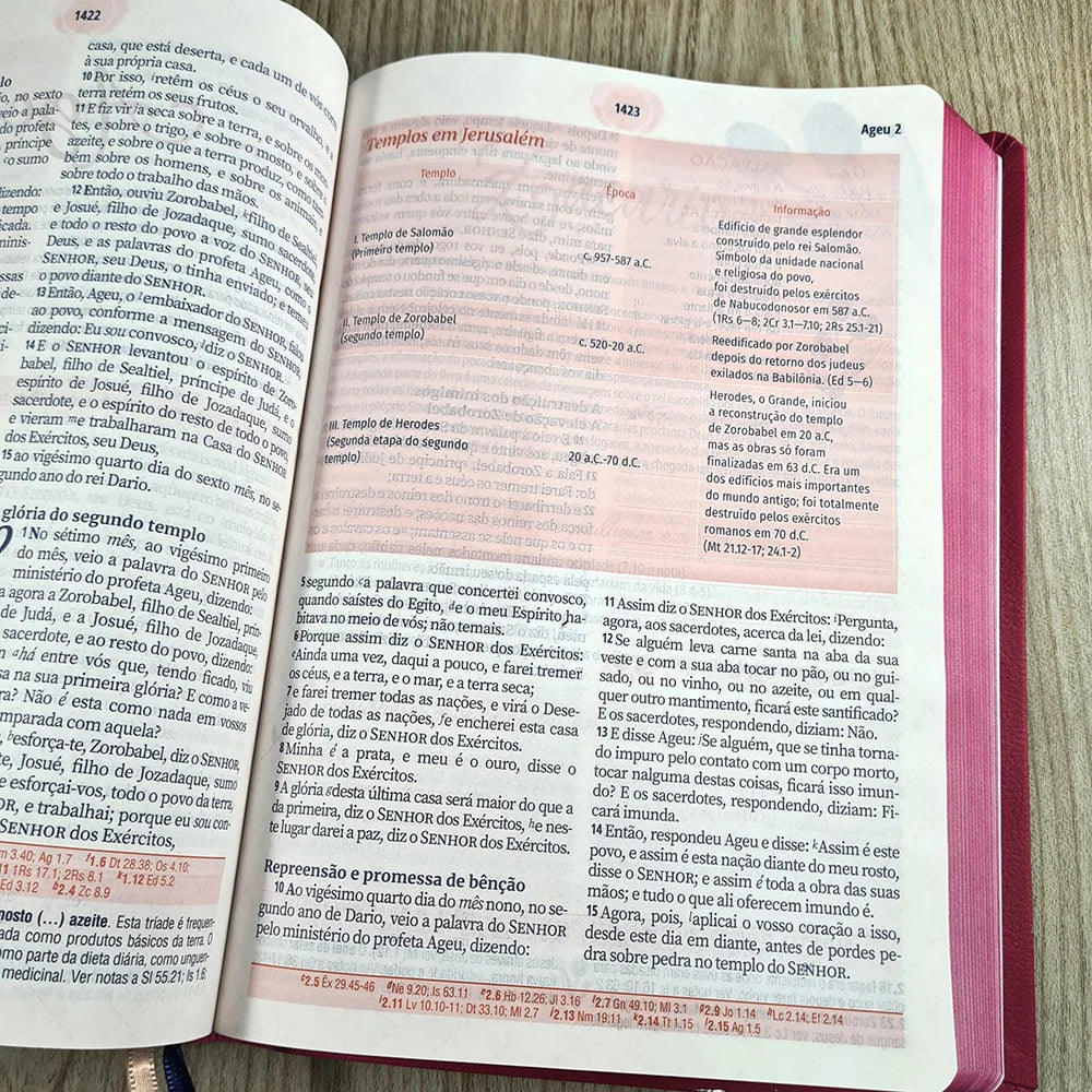 A Bíblia da Mulher Letra Grande Capa Rosa-Versão ARC