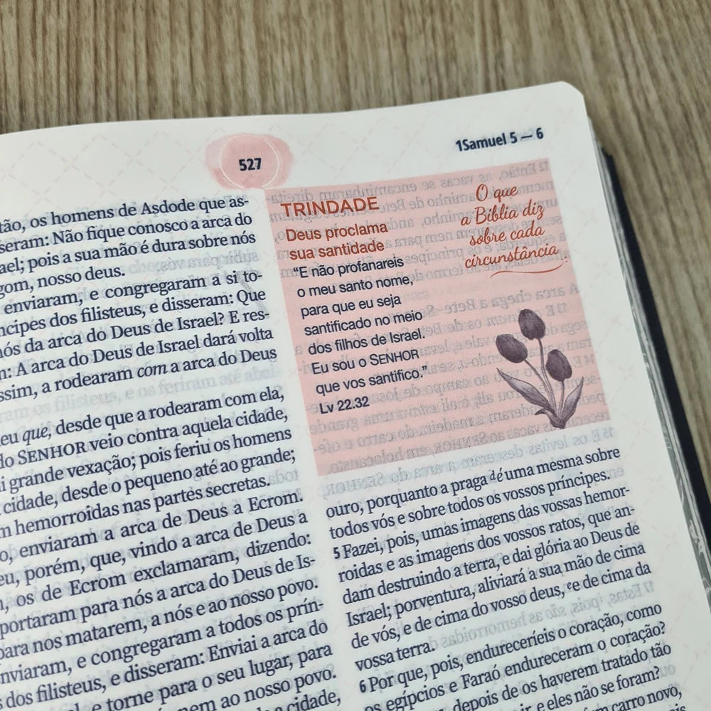 A Biblía da Mulher Letra Grande Capa Azul-Versão ARC